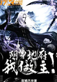 《阴曹地府我做主》小说封面