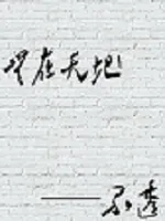 《无在天地》小说封面