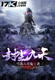 《封尘九天》小说封面