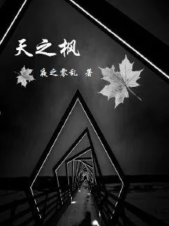 《天之枫》小说封面
