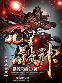 《九星杀神》小说封面