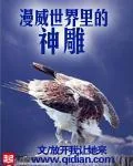 《漫威世界里的神雕》小说封面