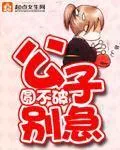 《公子别急》小说封面