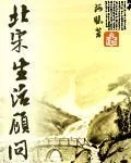 《北宋生活顾问》小说封面