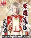 《荣耀魔徒》小说封面