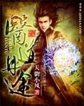 《医道丹途》小说封面