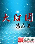 《大财团》小说封面