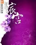 《宸宫》小说封面