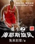 《重生之海耶斯旋风》小说封面