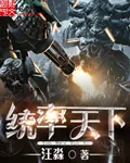 《统率天下》小说封面