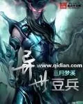 《异世豆兵》小说封面