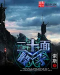 《二十面骰子》小说封面