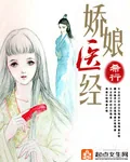 《掌家娘子》小说封面