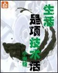 《生活是项技术活》小说封面