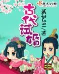 《古代试婚》小说封面