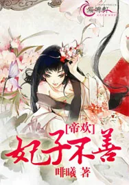 《帝欢：妃子不善》小说封面