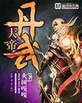 《丹武大帝》小说封面