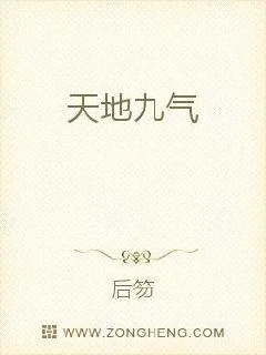 《天地九气》小说封面