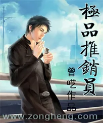 《极品推销员》小说封面
