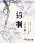 《锦桐》小说封面