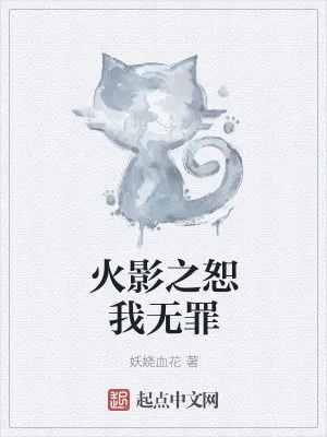 《火影之恕我无罪》小说封面