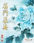 《名门正妻》小说封面