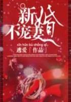 《新婚不宠妻》小说封面