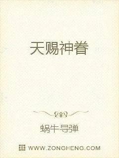 《天赐神眷》小说封面