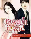 《炮灰姐姐逆袭记》小说封面