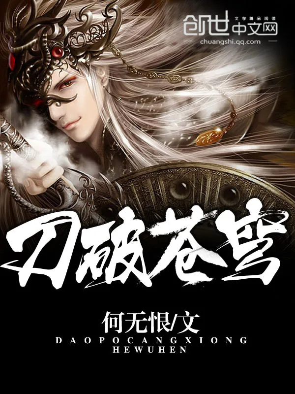 《刀破苍穹》小说封面