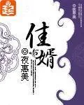 《佳婿》小说封面