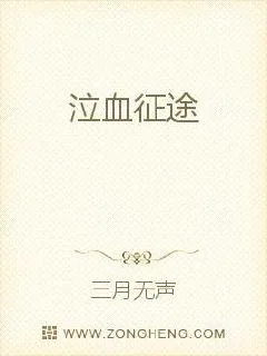 《泣血征途》小说封面