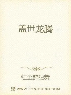 《盖世龙腾》小说封面