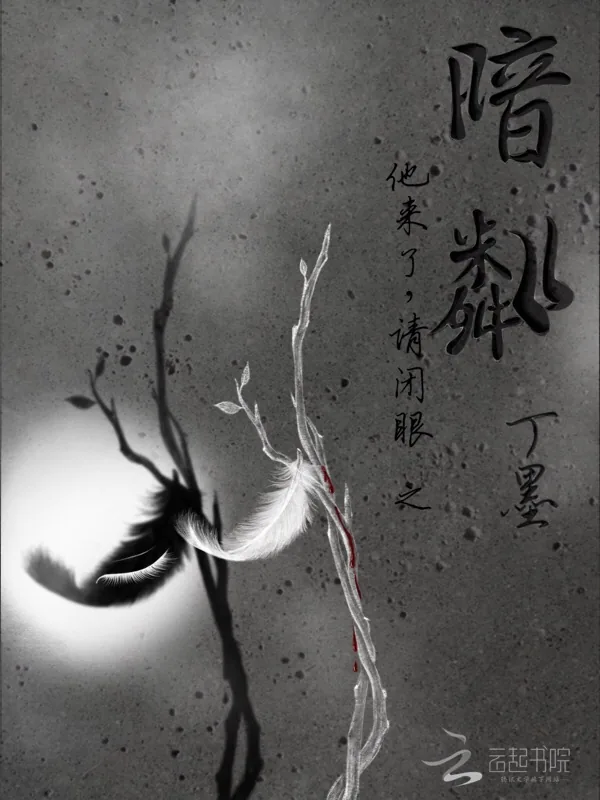 《他来了请闭眼之暗粼》小说封面