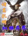《诸葛孔明纵横异界》小说封面