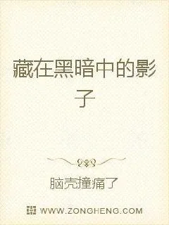 《藏在黑暗中的影子》小说封面