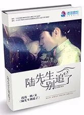 《陆先生别追了》小说封面
