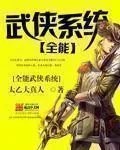 《全能武侠系统》小说封面