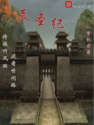 《辰圣纪》小说封面