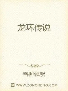 《龙环传说》小说封面