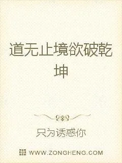 《道无止境欲破乾坤》小说封面