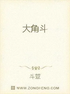 《大角斗》小说封面
