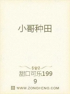 《小哥种田》小说封面