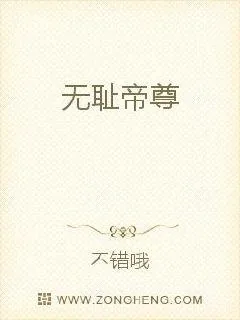 《无耻帝尊》小说封面