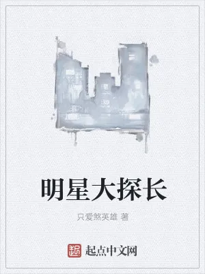 《明星大探长》小说封面