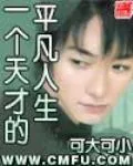 《一个天才的平凡人生》小说封面