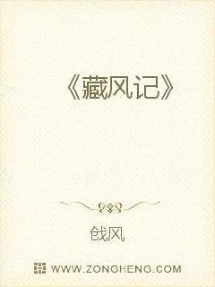 《藏风记》小说封面