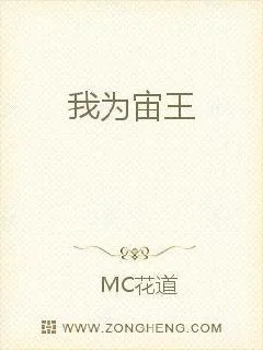 《我为宙王》小说封面