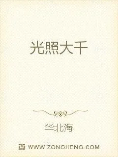 《光照大千》小说封面