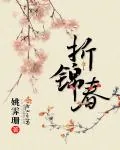 《折锦春》小说封面